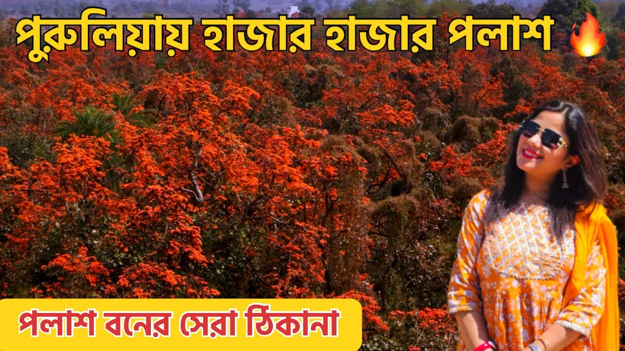 পুরুলিয়ার লাল সমুদ্র! 🌺 Palash Forest কোথায়? সম্পূর্ণ ট্রাভেল গাইড