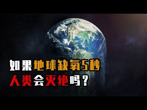 有多少植物为人类生产足够的氧气？