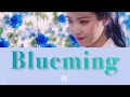 日本語字幕/カナルビ【 Blueming 】IU(아이유)