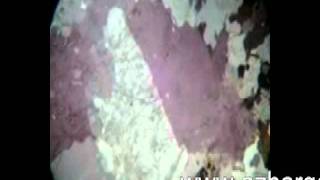 Orthoclase.swf