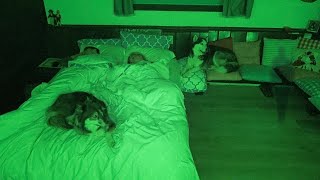 What My Dogs Do Overnight in a Haunted Room.. by My Mountain Husky 339,341 views 2 years ago 3 minutes, 37 seconds