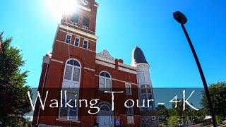 Celebrity Buchanan, GA - City Walking Tour - Georgia, USA - 4K Profile