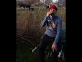" Stenka Razin (Volga Volga) " 4 #harmonica #cows #horse #countryside  #humor #funny #entertainment