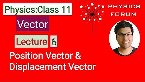 Position Vector & Displacement Vector||VECTOR||Class 11 Physics||L6