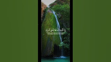 سورة فصلت || الشيخ ماهر المعيقلي #quran #quranismylife