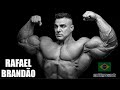 #191 - Rafael Brandão