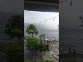 #rain @pokhara