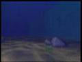 Miracles Of Quran10 The Seas Not Mingling Wid One Another 