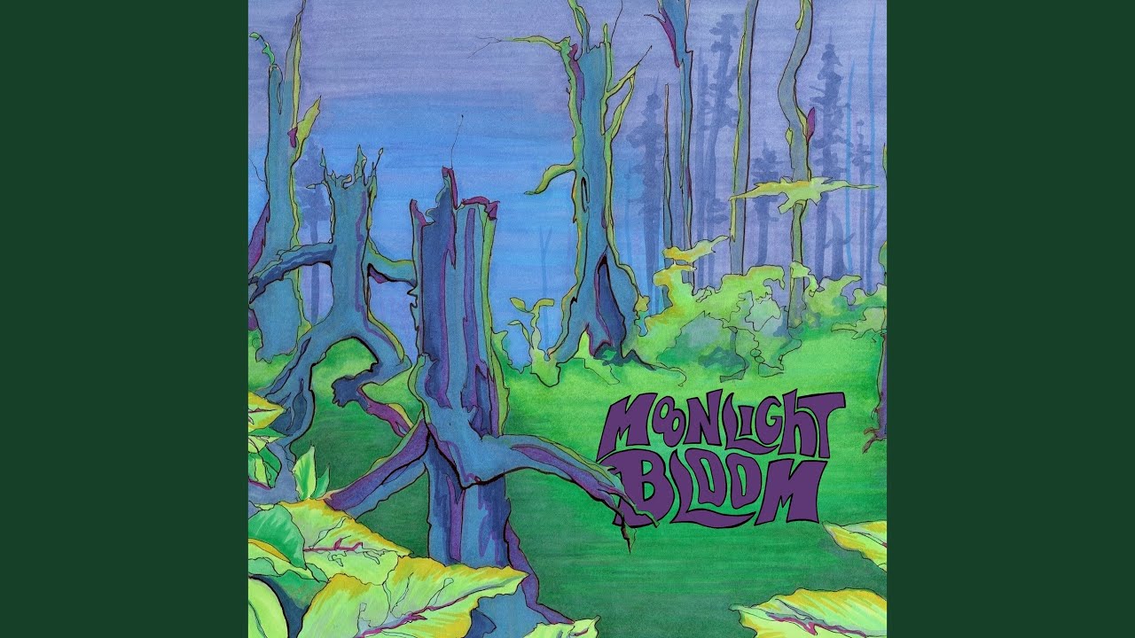 Watch Walking Trees on YouTube Watch Walking Trees on YouTube