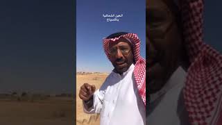ربوع وطني محافظة الأسياح بالقصيم