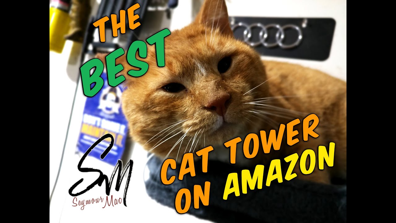 The BEST Cat Tower on Amazon YouTube