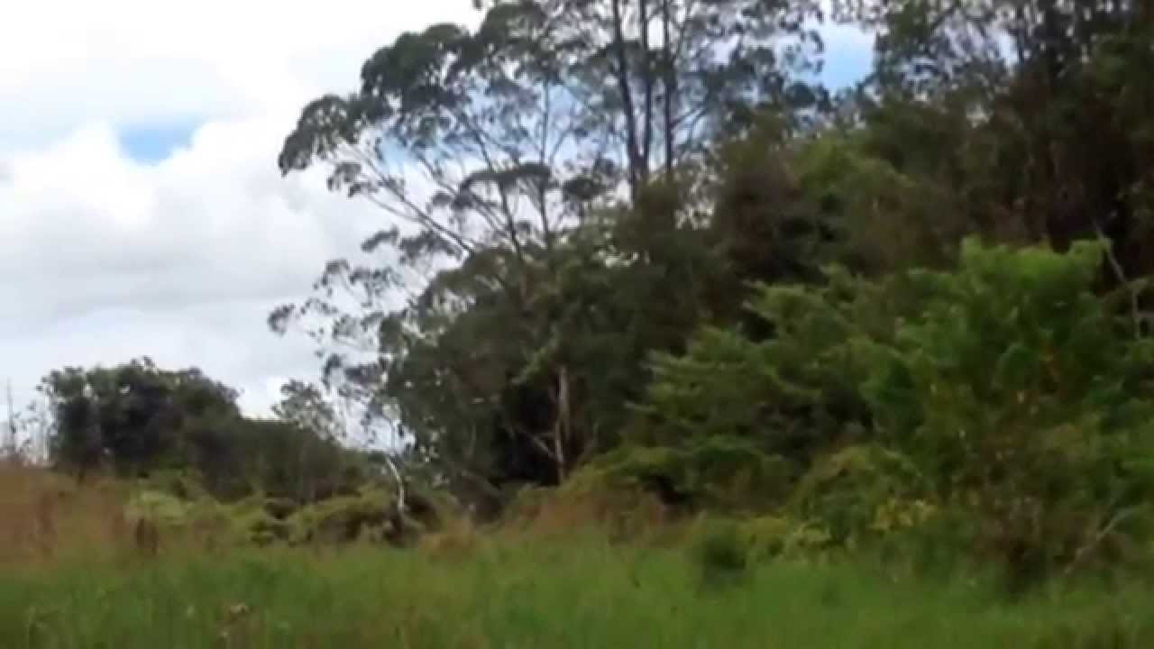 Waiakea Uka 130 Acres 6 YouTube