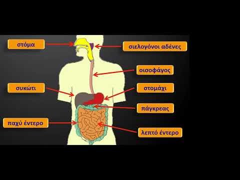 Βίντεο: Τι είναι η πέψη