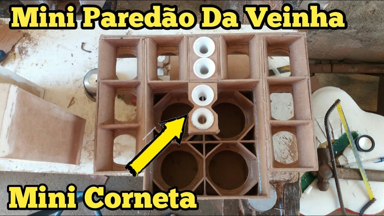 O rei dos mini paredão