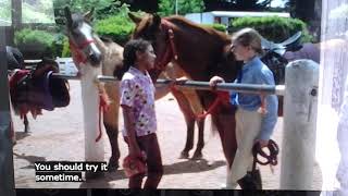 Saddle Club I Will Never Know Why Keenan MacWilliam Pushed Heli Simpson Into Horse Manure