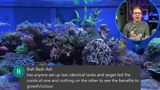Lets talk about feeding your reef