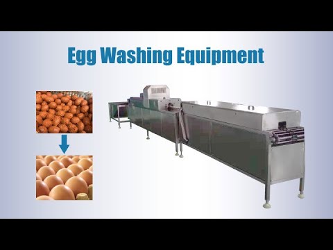 Chicken Duck Egg Washing Machine - Taizy Food Machine