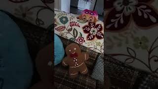 Mary Kathy's and fur ball 