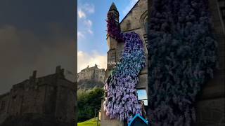 Fairy tale 🥰 #scotland #travel #free #love #viral #shorts #edinburgh