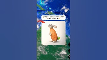 😳I Found Strange Huge Rabbit On Google Earth 🤯! #shorts #findmysterioussecrets