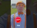 Blippi the Bus Driver Sings Wheels on the Bus! #Blippi #shorts