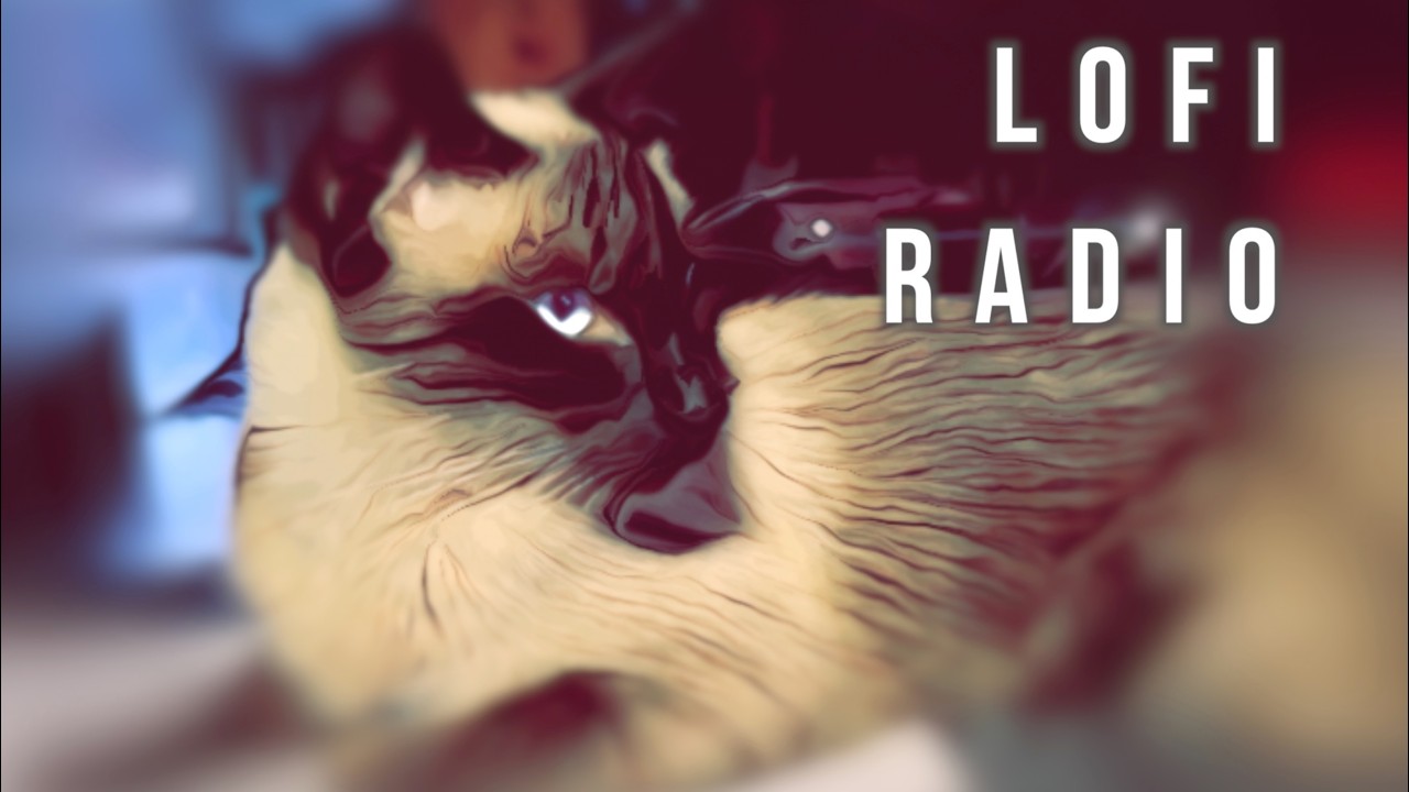 HiQ_LoFi – Cozy Lo-Fi Radio with Real Cats 🐱 | No AI Chill Beats