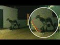 7 Mysterious Animals Ever Caught On Camera