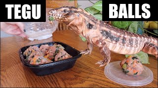 How To MEAL PREP For Reptiles! Making Turkey Tegu Balls