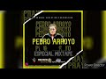 Pedro arroyo mix  tony remix ft terrible evolution corporation  salsa mix salsasensual salsa