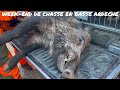 Weekend de chasse aux sangliers en basse ardeche