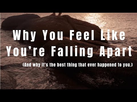 Faleshafaye Leaks: You Won't Believe What Happened Next