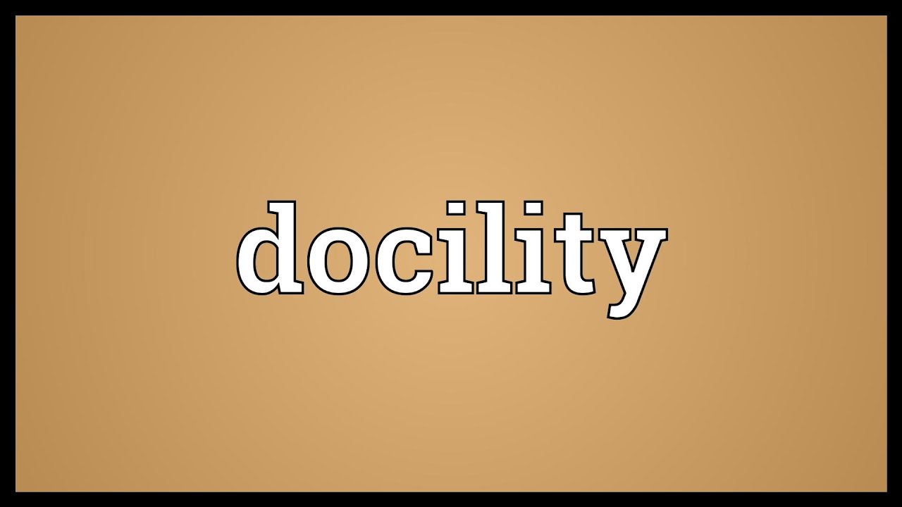 Docility Meaning YouTube what-actress-married-tom-cruise-on-christmas-eve-in-1990-free-beer