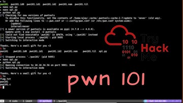 Tryhackme - pwn101 writeup | tamil