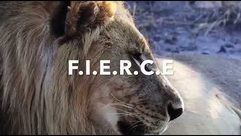 Delta Tau Lambda Sorority Incorporated- 8th Line F.I.E.R.C.E