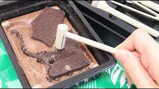 Discover Dinosaur Fossil Chocolate Kit Jurassic Chocolate Dig Up