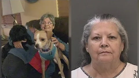 Carrollwood woman accused of killing sister found ...
