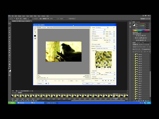 How to Make a GIF from video in Photoshop CS4 « Photoshop