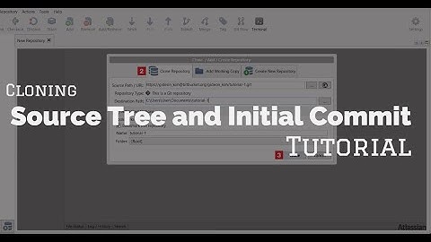 Cloning in Source Tree and Initial Commit