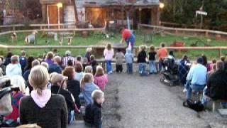 Piggy Races at Vala's Pumpkin Patch