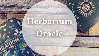 Herbarium Oracle | First Impression & Walkthrough