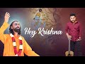 Hey krishna  soul stirring shri krishna song  ami mishra feat swami mukundananda  jkyog music