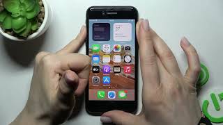 How to Adjust Ringtone Volume on iPhone SE 2022 - Manage Ringtone Settings on iOS