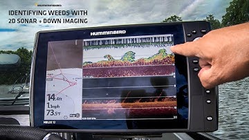 How to Identify Weeds with Down Imaging and 2D Sonar