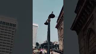 Taj Hotel Mumbaigateway Of Indiasnap Movementvn Colour Grading