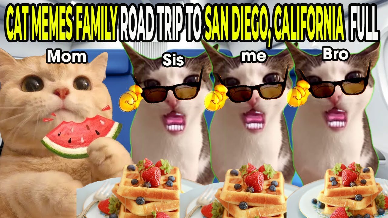 CAT MEMES FAMILY ROAD TRIP TO SAN DIEGO, CALIFORNIA  FULL