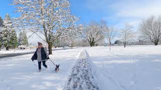 A Winter Walk Through Our Corvallis Neighborhood