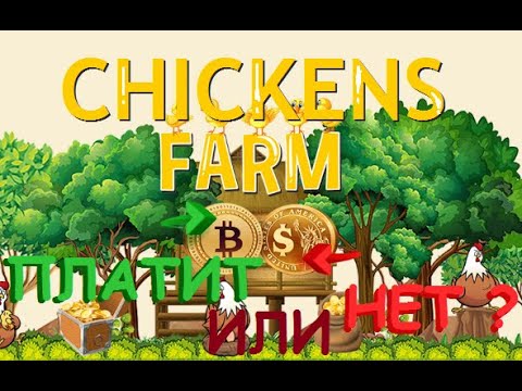 zoo игра с выводом денег zoo игра с выводом денег