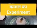 Onion Lifted by Smok प्याज को धुँआ से उठाया गया