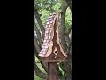 How to build a bird house