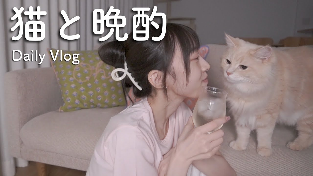 帰宅して女1人と猫達で晩酌vlog🍺🐈 - YouTube